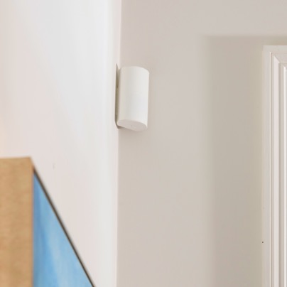 Salinas security motion sensor