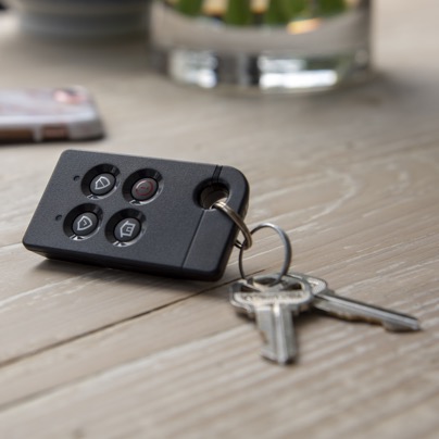 Salinas security key fob